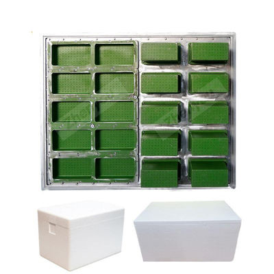 EPS Mould Polystyrene Foam Craft Mold for Foam Box Other Custom Mould